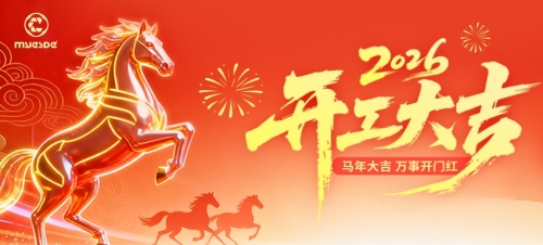 聚势开门红丨开工启新程 奋楫向未来